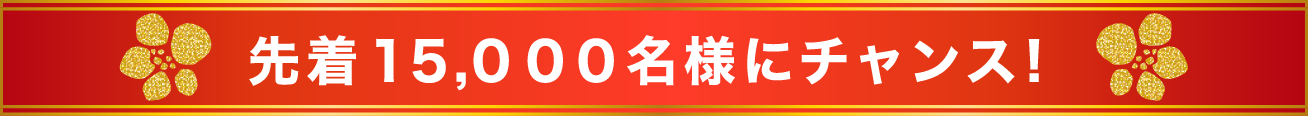 先着 15,500名様にチャンス！