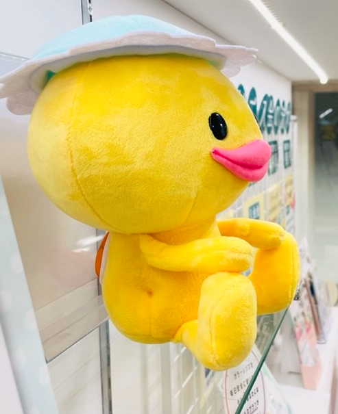 【佐世保店】6月の代引きキャンペーンのお知らせ