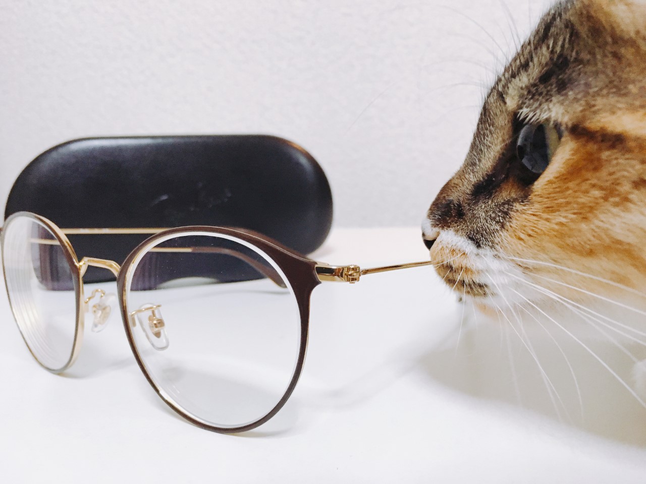 【太宰府店】眼鏡の歴史👀👓