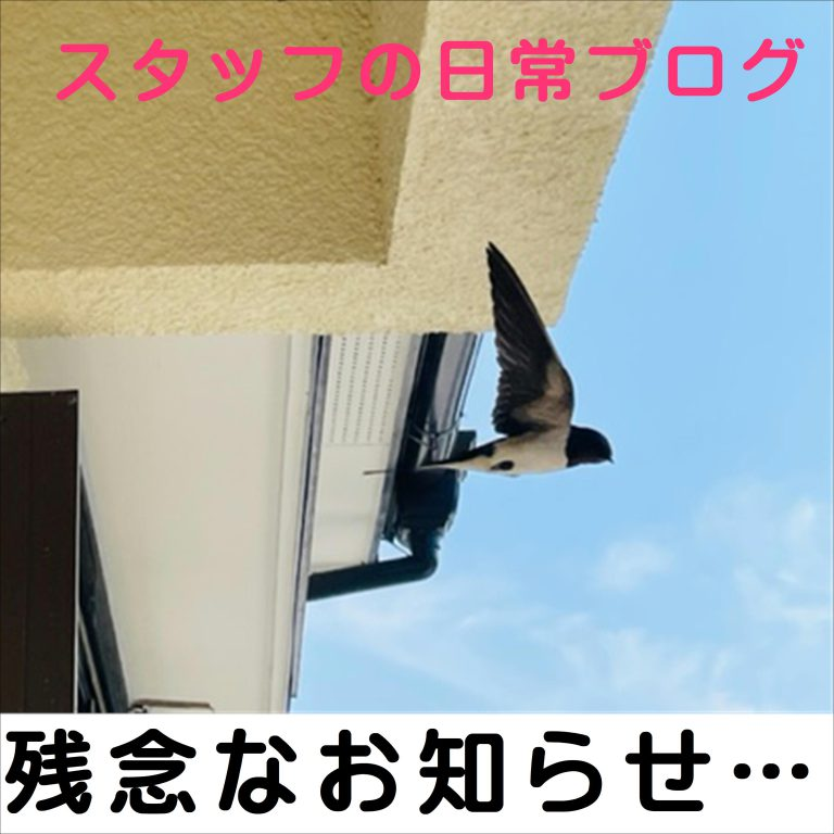 【佐世保店】スタッフブログ　つばめブログその後・・