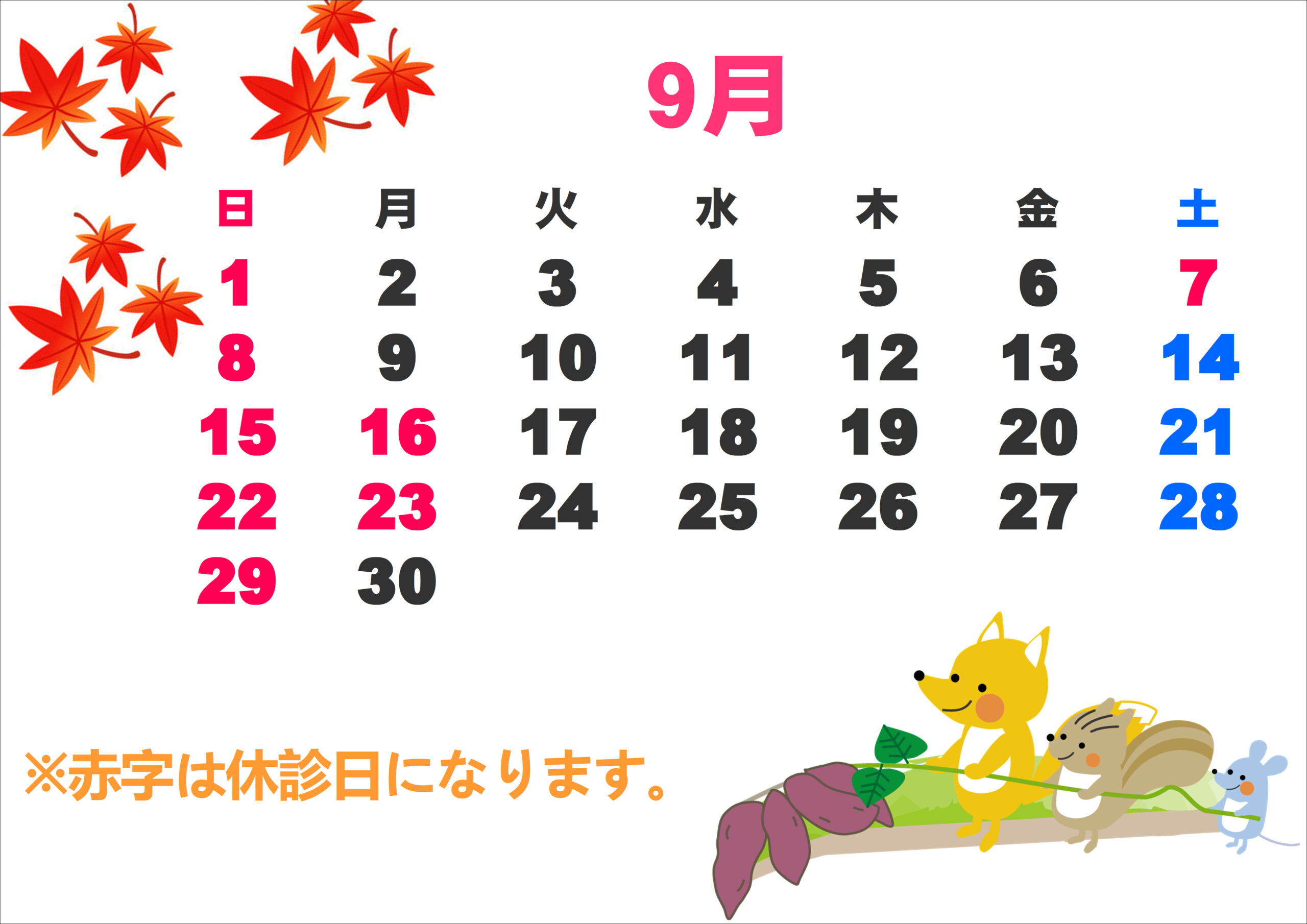 【下関彦島店】＊提携眼科休診日＊
