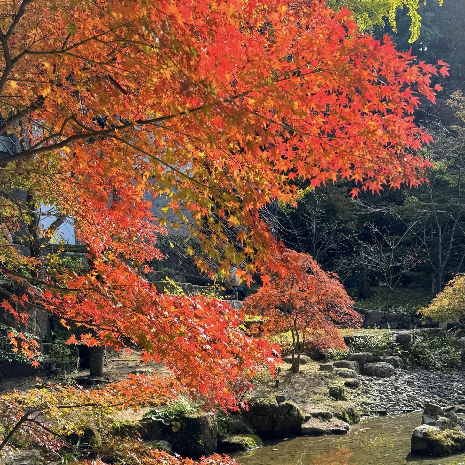 【太宰府店】宝満宮竈門神社*《太宰府》
