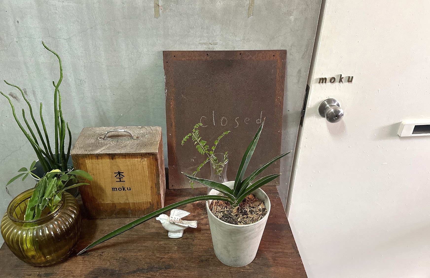 【香椎店】香椎駅から乗り換えなし♪箱崎のおすすめスポット③♡