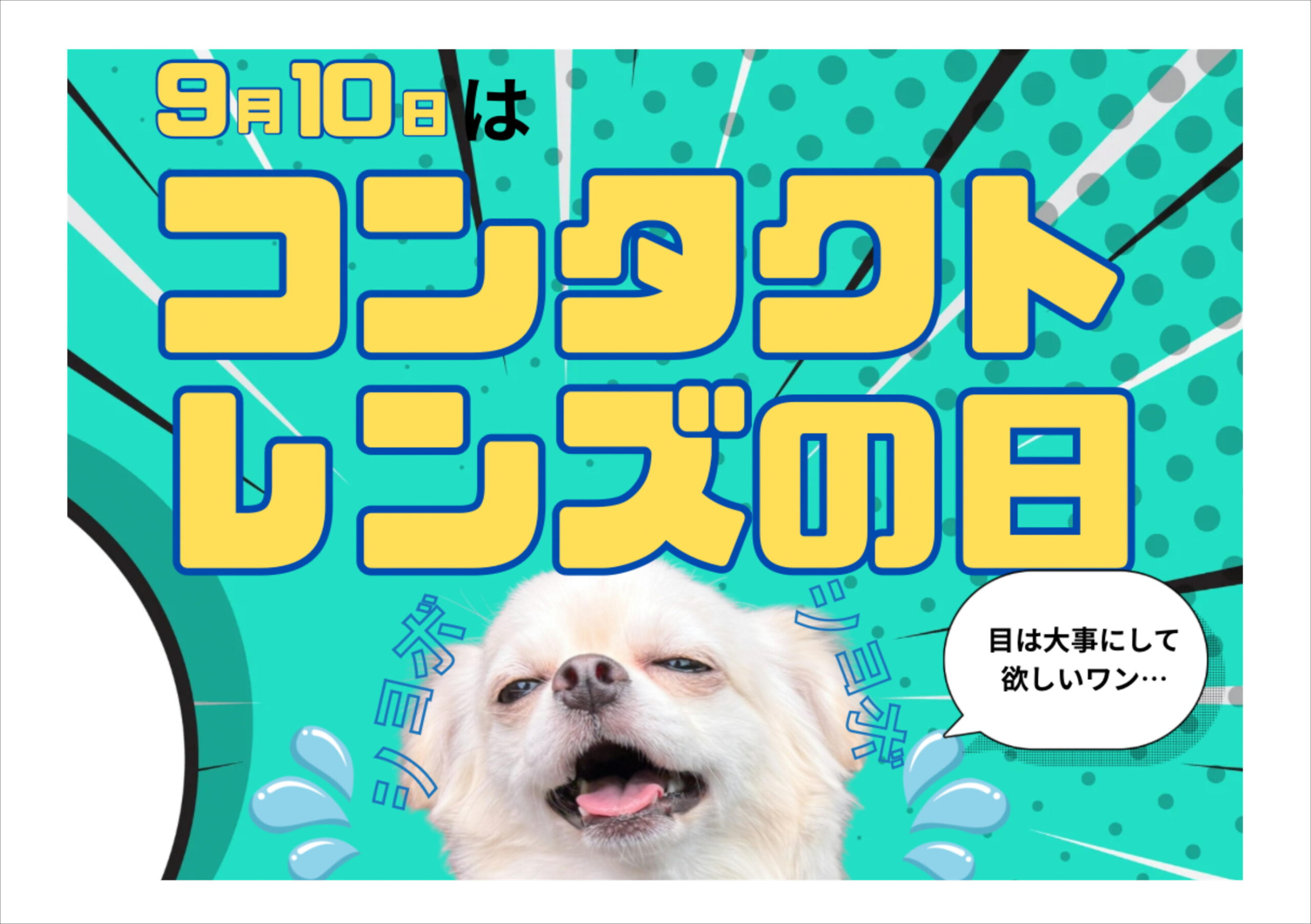 佐賀店＊９月１０日はコンタクトレンズの日！👀