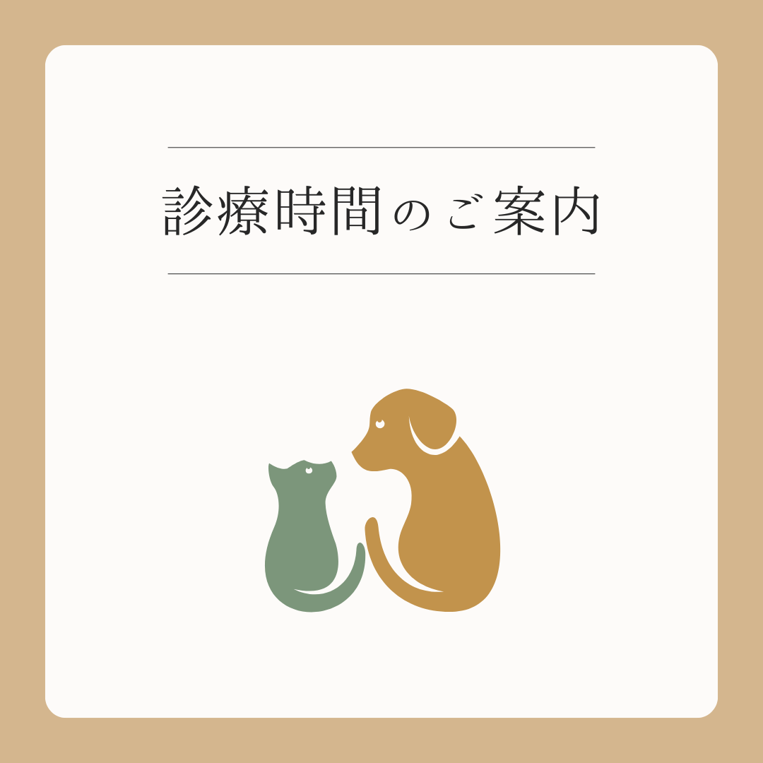 【イオン鳥取北店】年末年始休診日のご案内