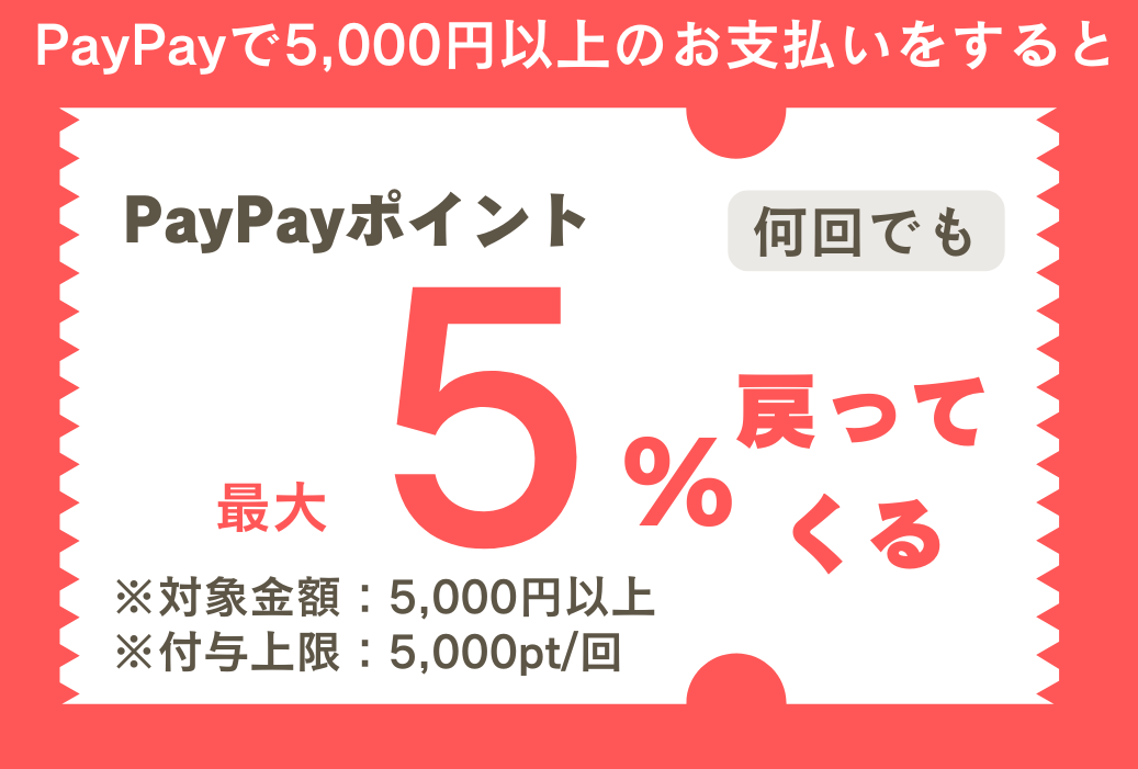 【香椎店】期間限定PayPayクーポン配布中✨