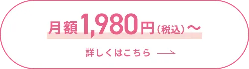月額1,980円（税込）～